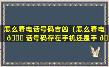 怎么看电话号码吉凶（怎么看电 🐟 话号码存在手机还是手 🐼 机卡）